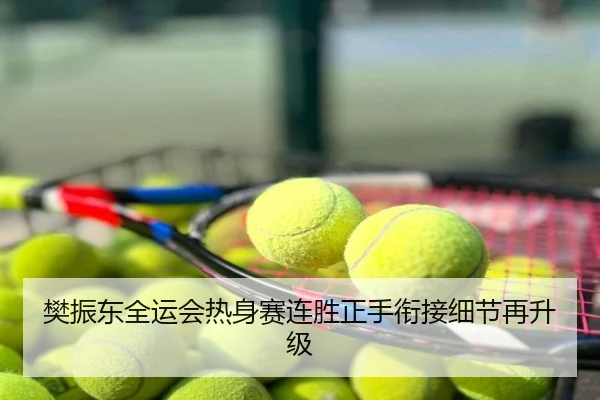 樊振东全运会热身赛连胜正手衔接细节再升级
