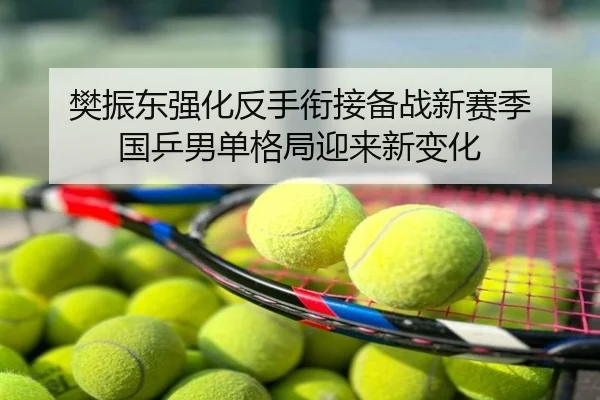 樊振东强化反手衔接备战新赛季 国乒男单格局迎来新变化