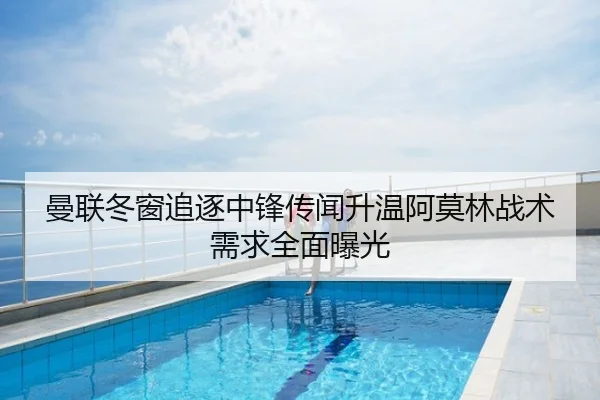 曼联冬窗追逐中锋传闻升温阿莫林战术需求全面曝光